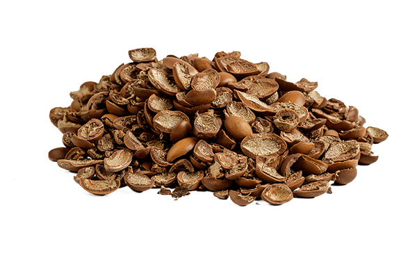 Organic argan crushed shell Morocco Guelmim — natural exfoliant ingredient wholesale SAHARÔME